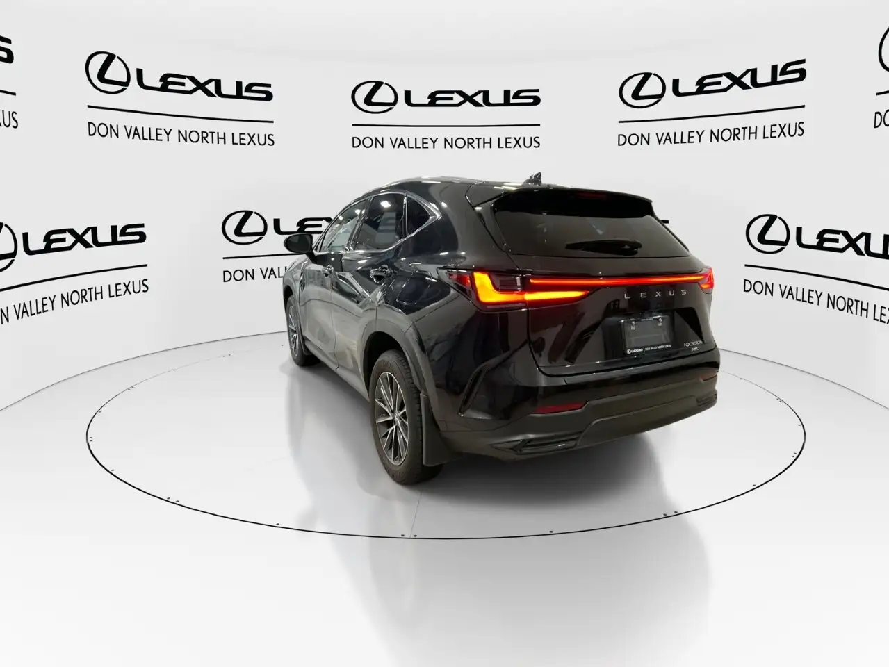 Lexus NX - Image 6