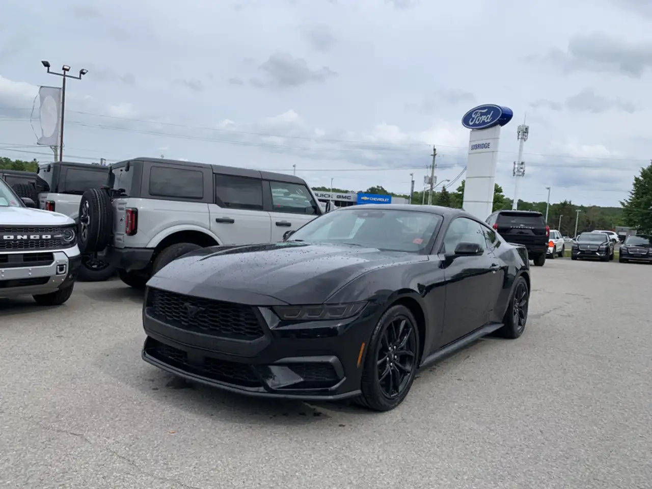 Ford Mustang - Image 1