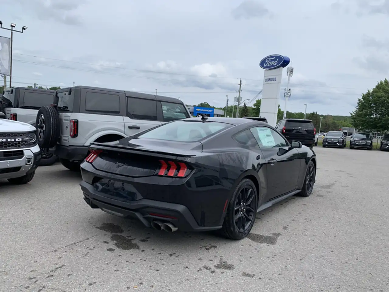 Ford Mustang - Image 5