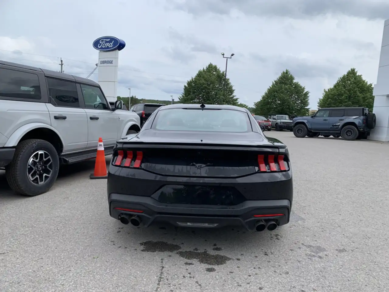 Ford Mustang - Image 6