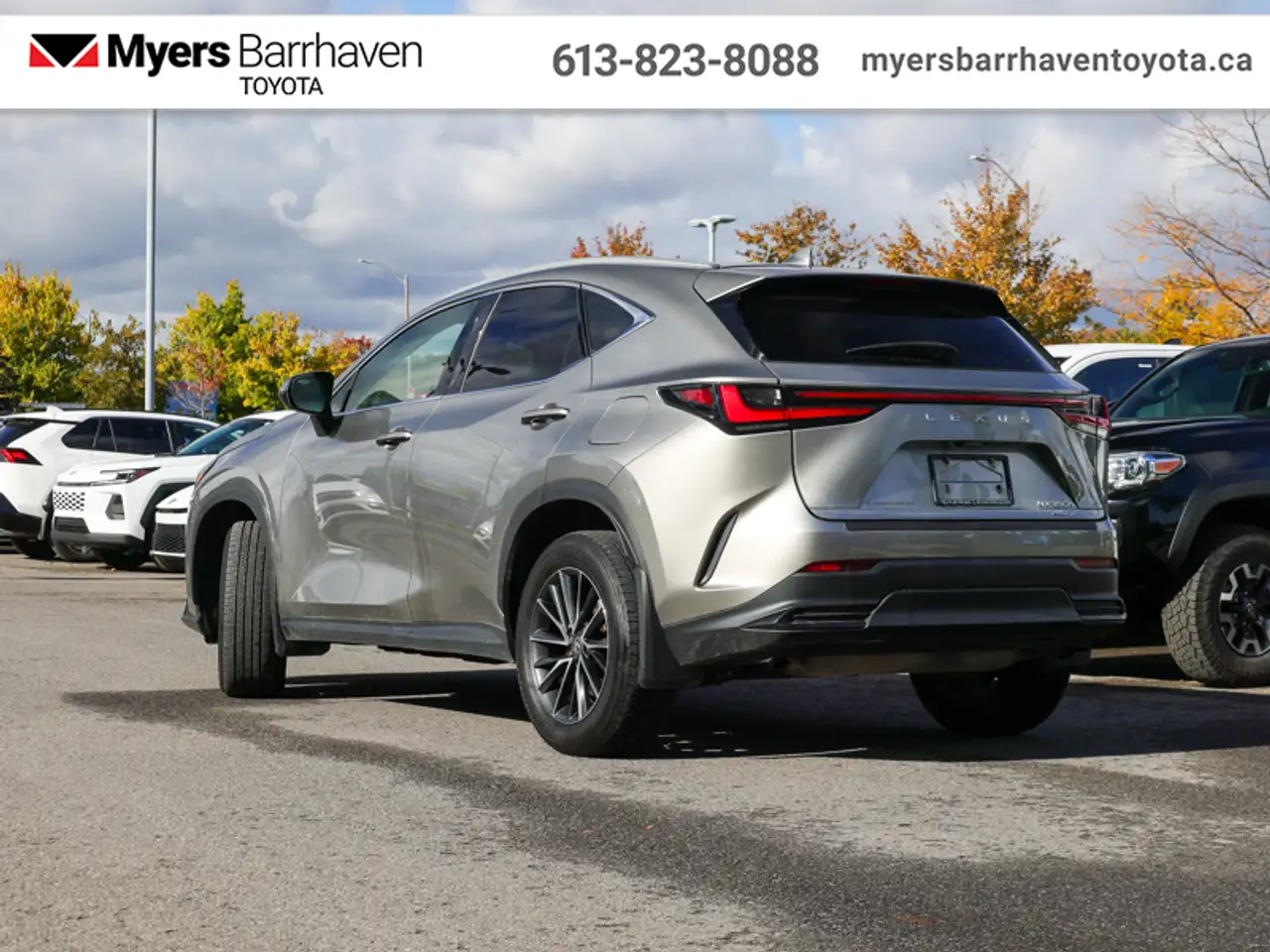 Lexus NX - Image 4