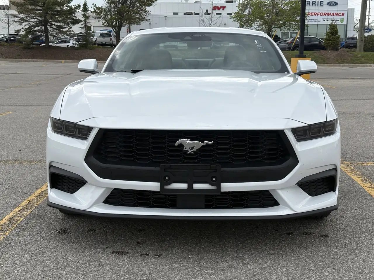Ford Mustang - Image 3