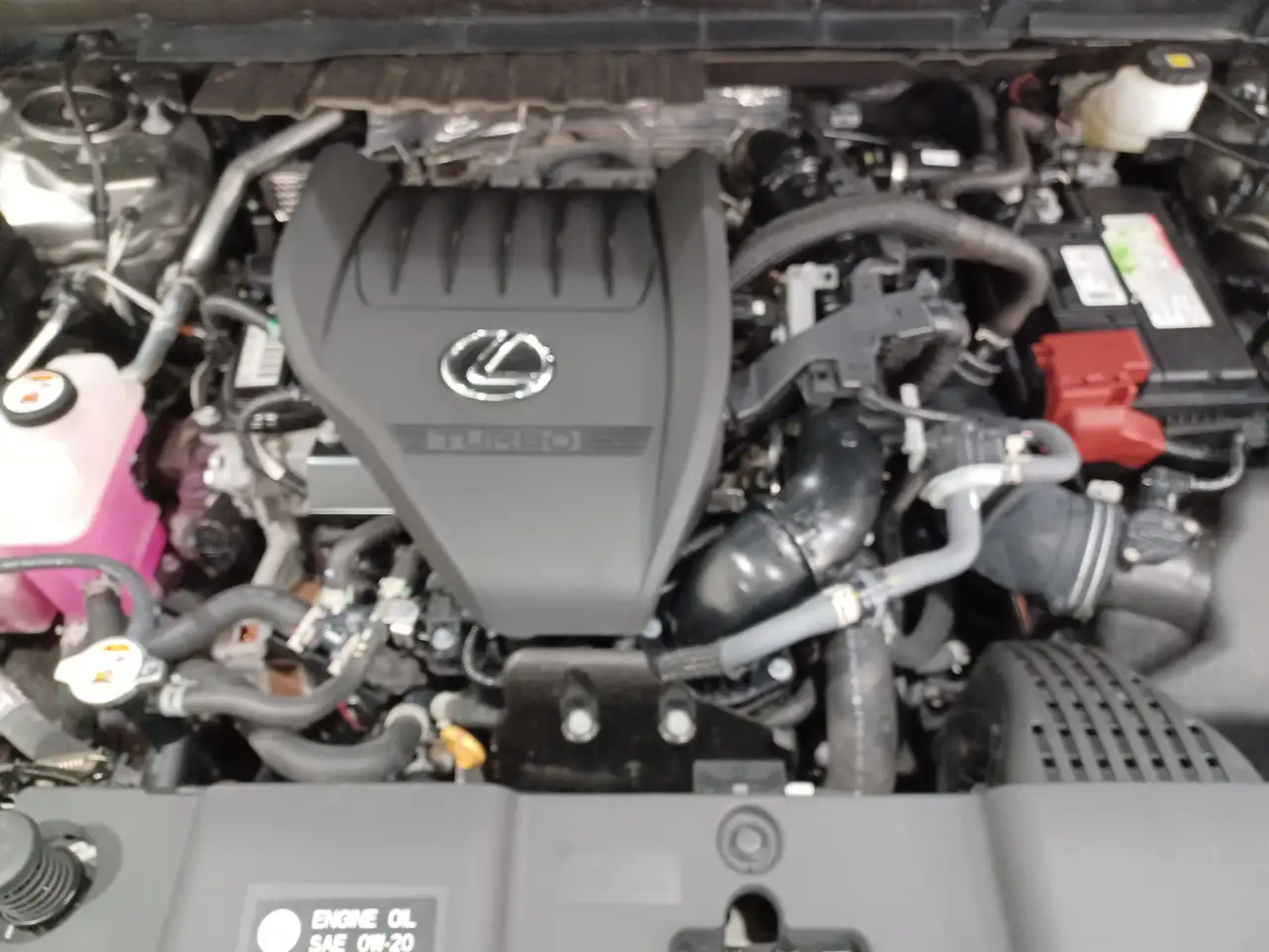 Lexus NX - Image 6