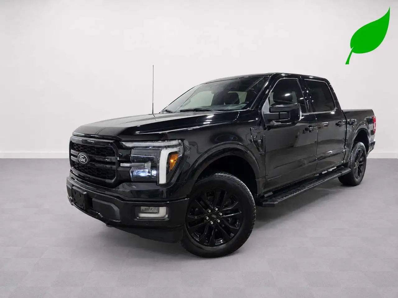 Ford F-150 - Image 1