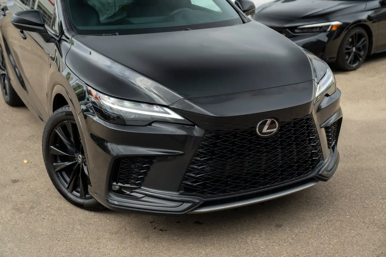 Lexus RX - Image 6