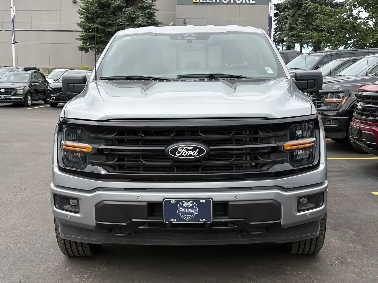Ford F-150 - Image 3