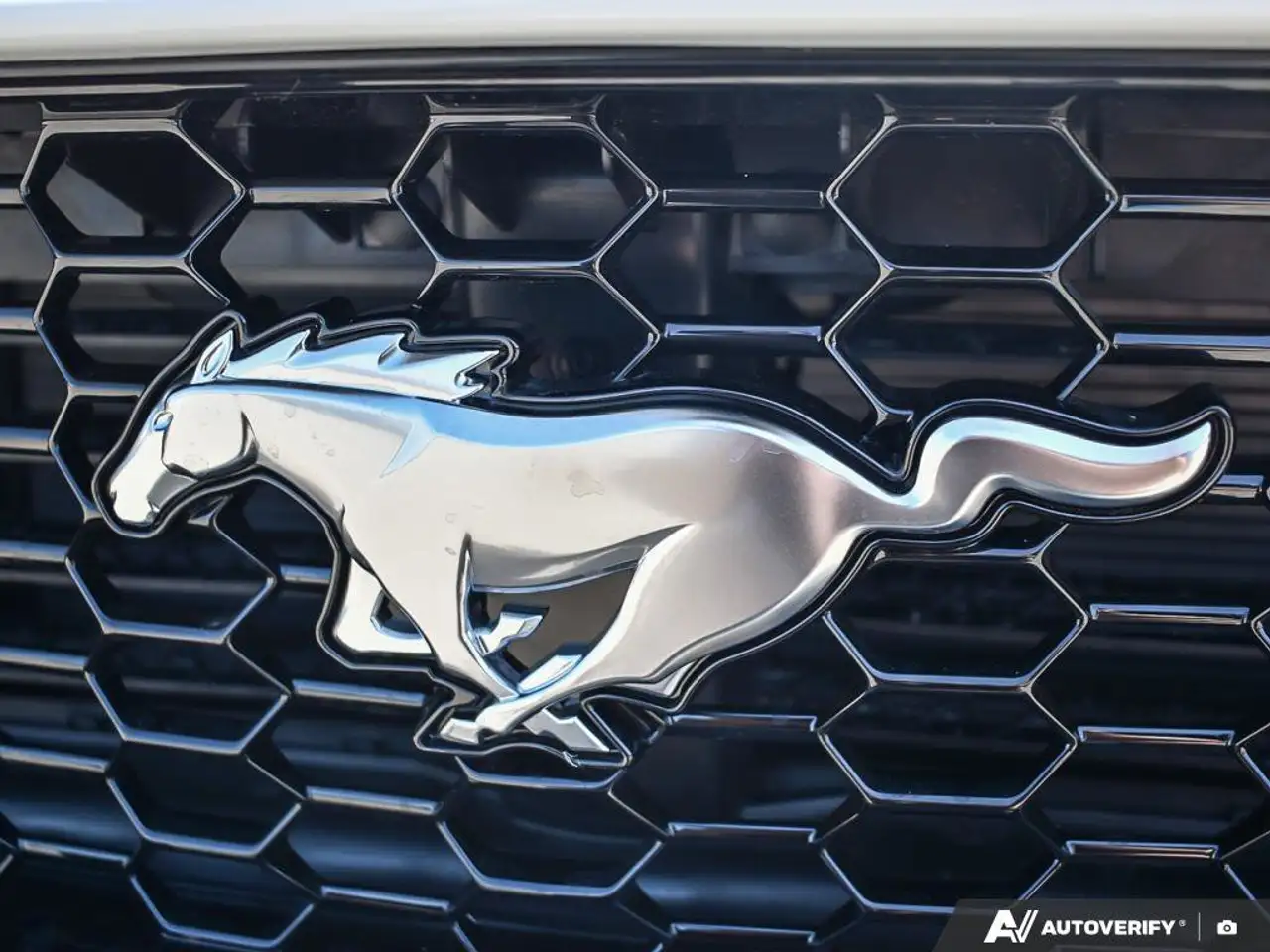 Ford Mustang - Image 11