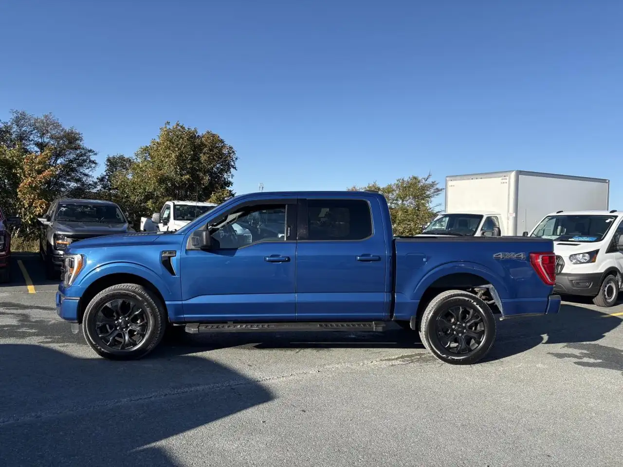 Ford F-150 - Image 3