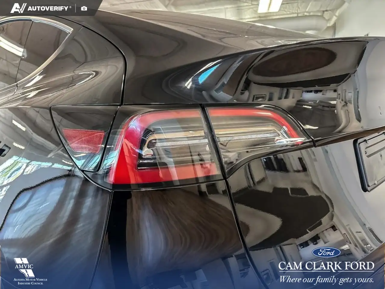 Tesla Model Y - Image 10