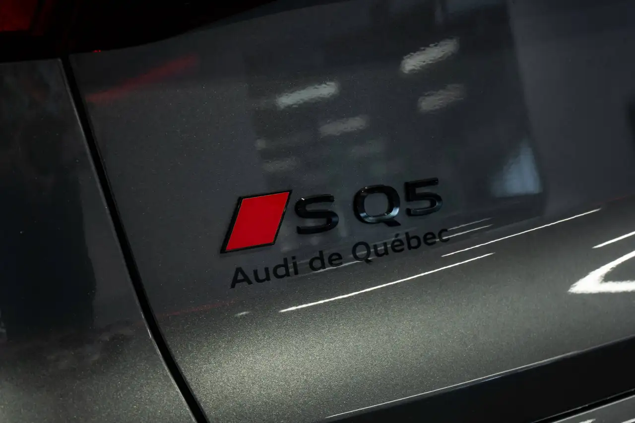 Audi SQ5 - Image 10