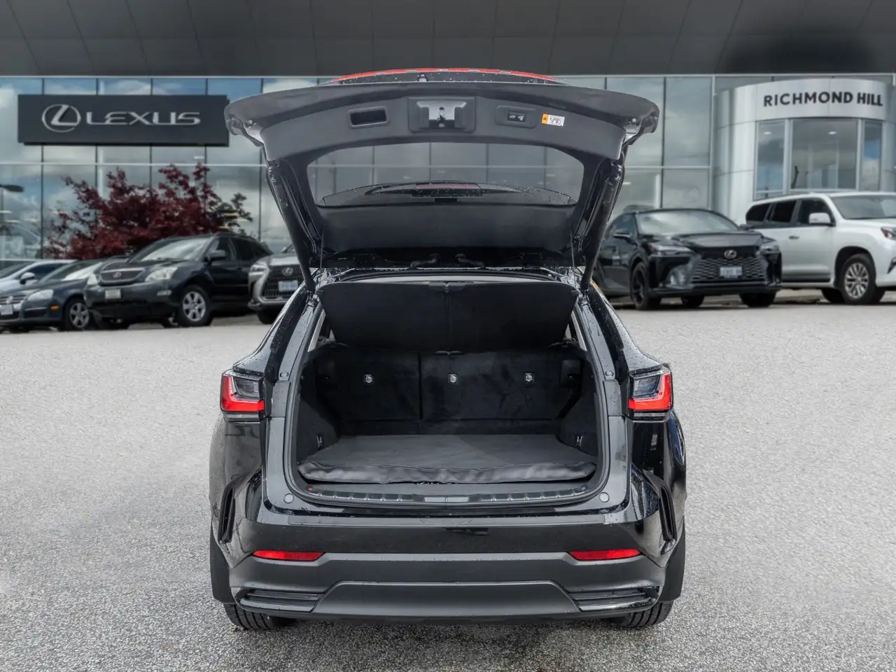 Lexus NX - Image 8