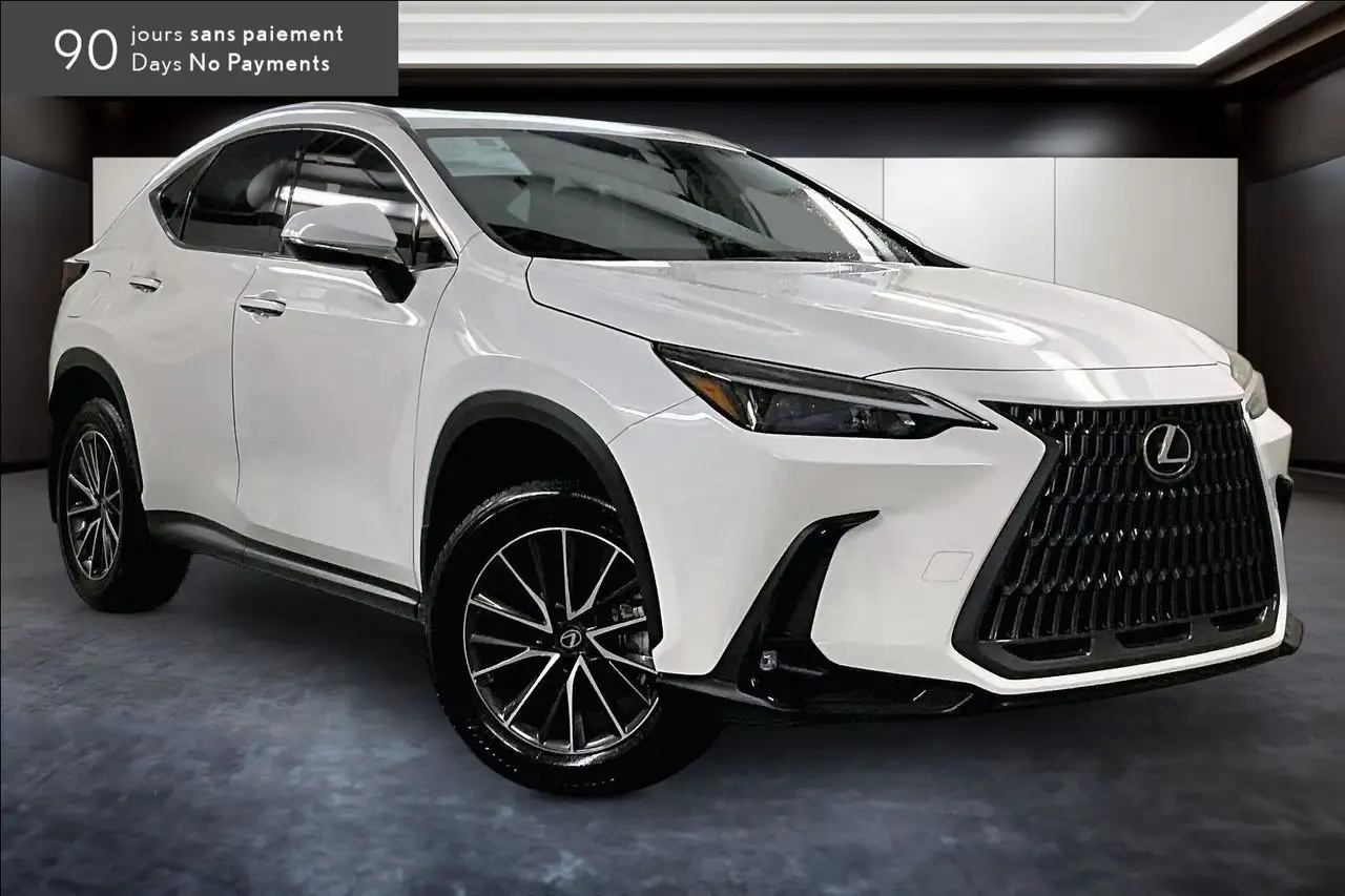 Lexus NX - Image 11