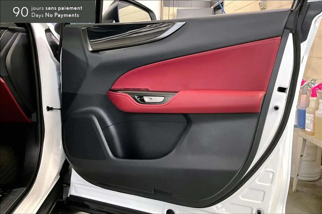 Lexus NX - Image 19