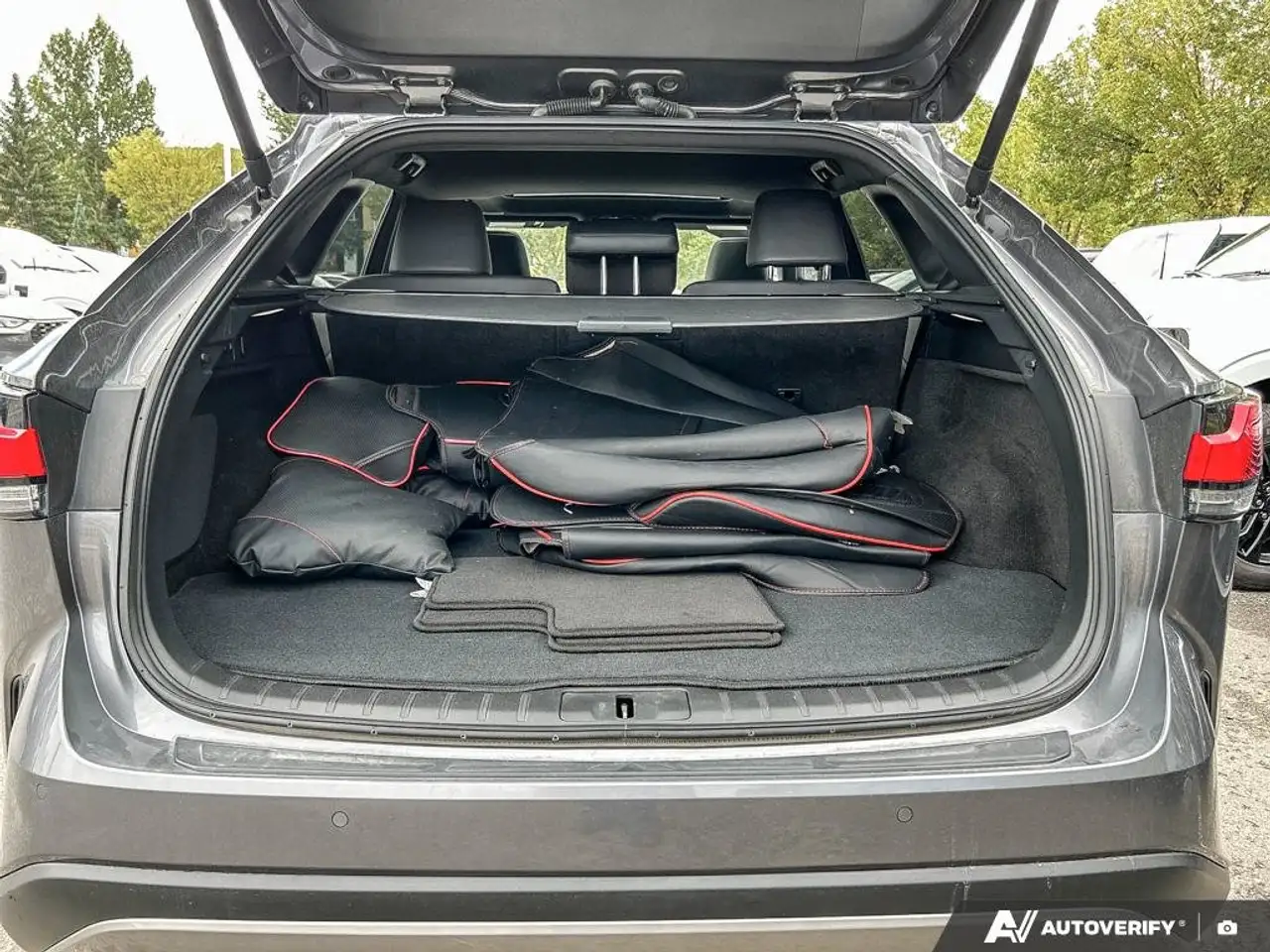 Lexus RX - Image 10