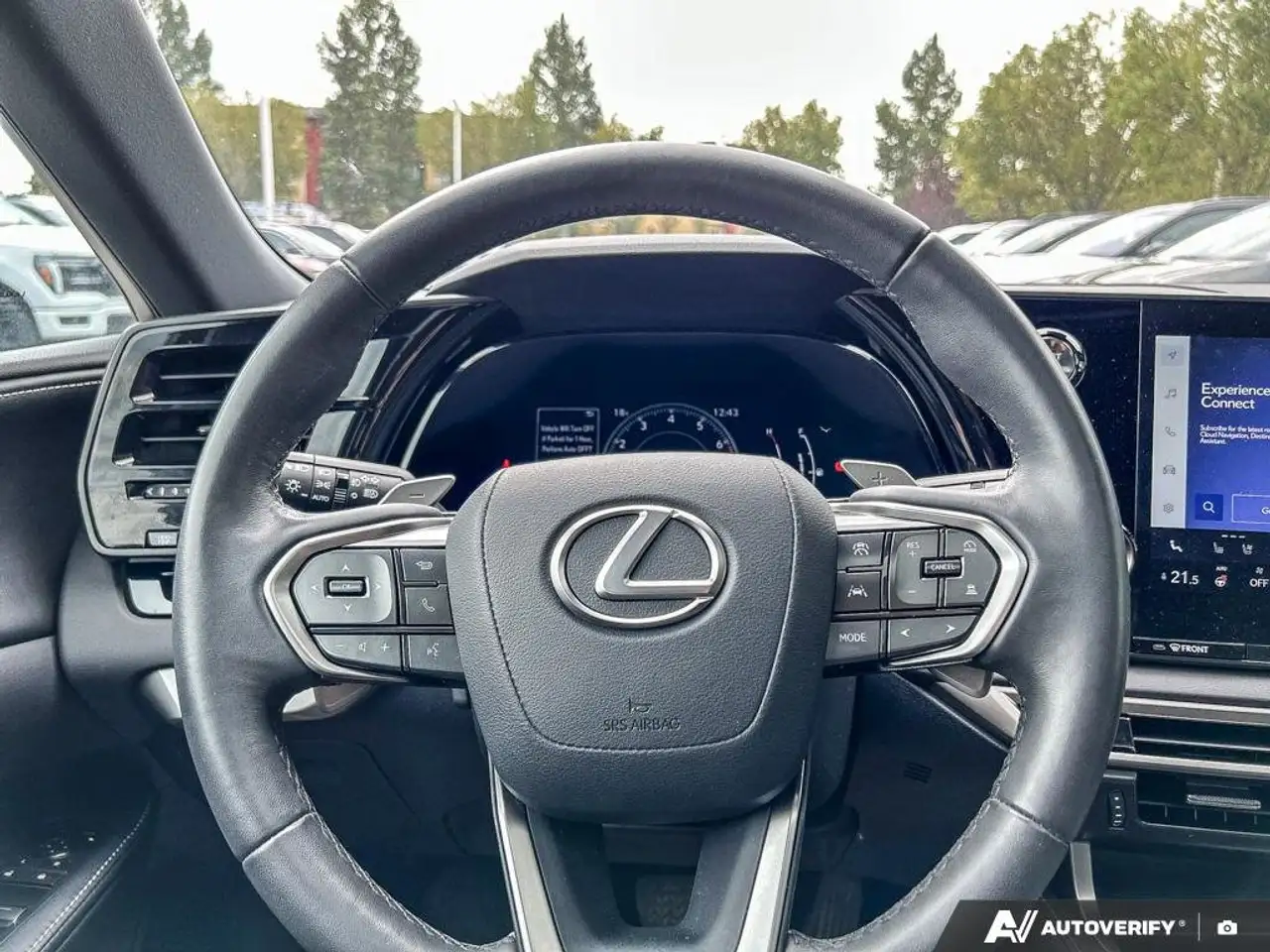Lexus RX - Image 12