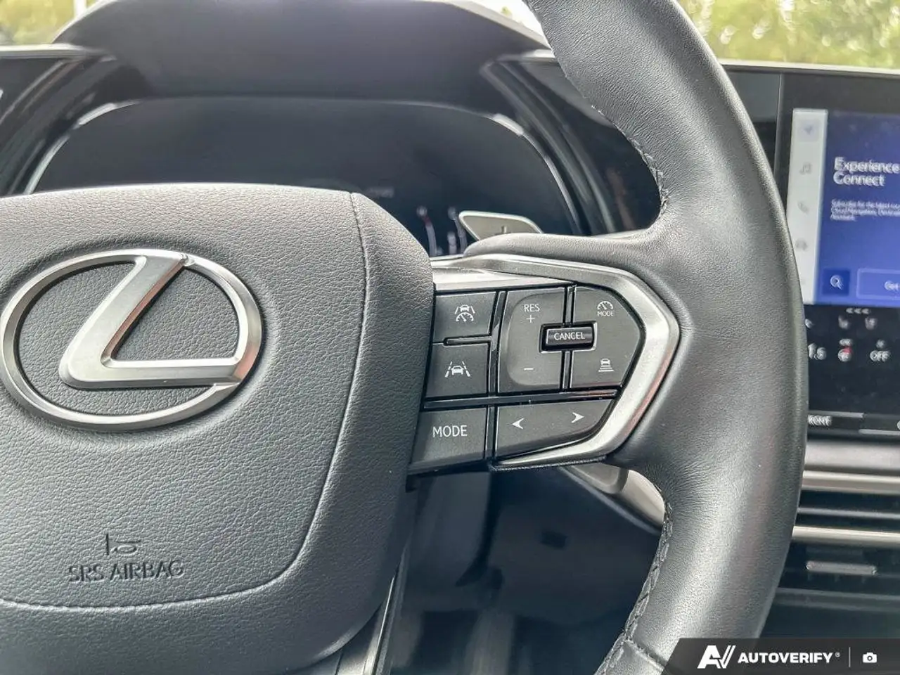 Lexus RX - Image 14