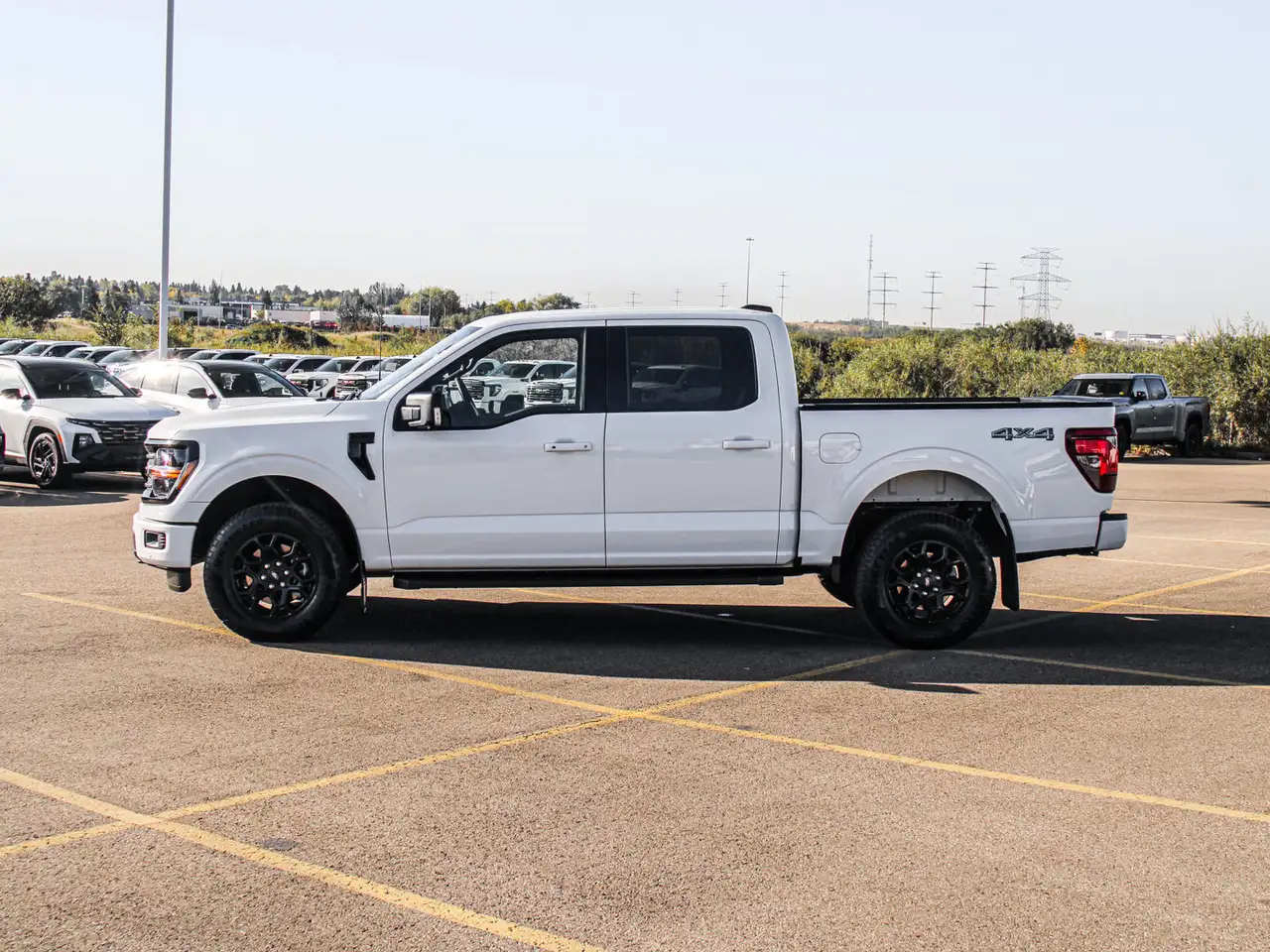 Ford F-150 - Image 5