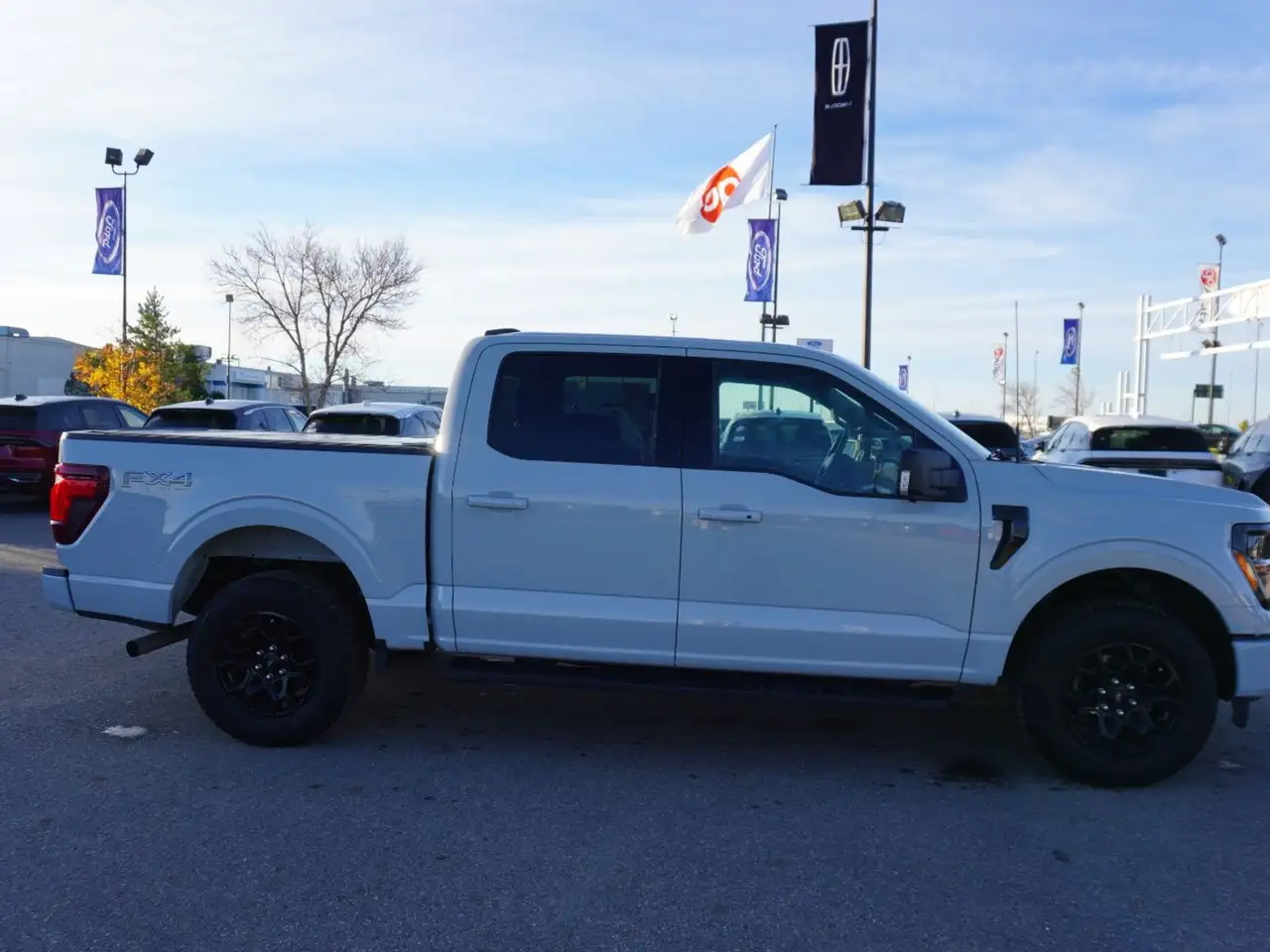 Ford F-150 - Image 7