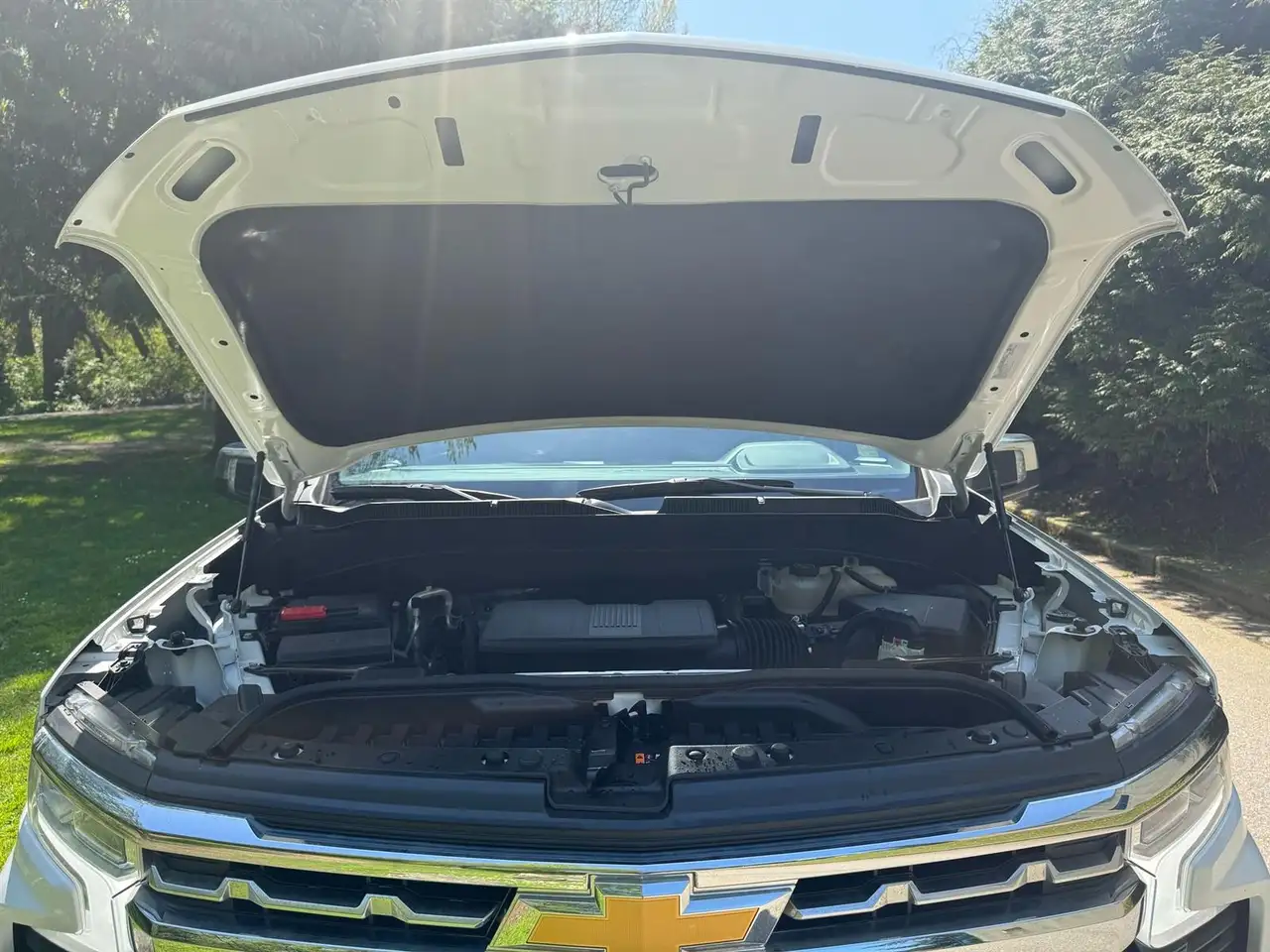 Chevrolet Silverado 1500 - Image 3