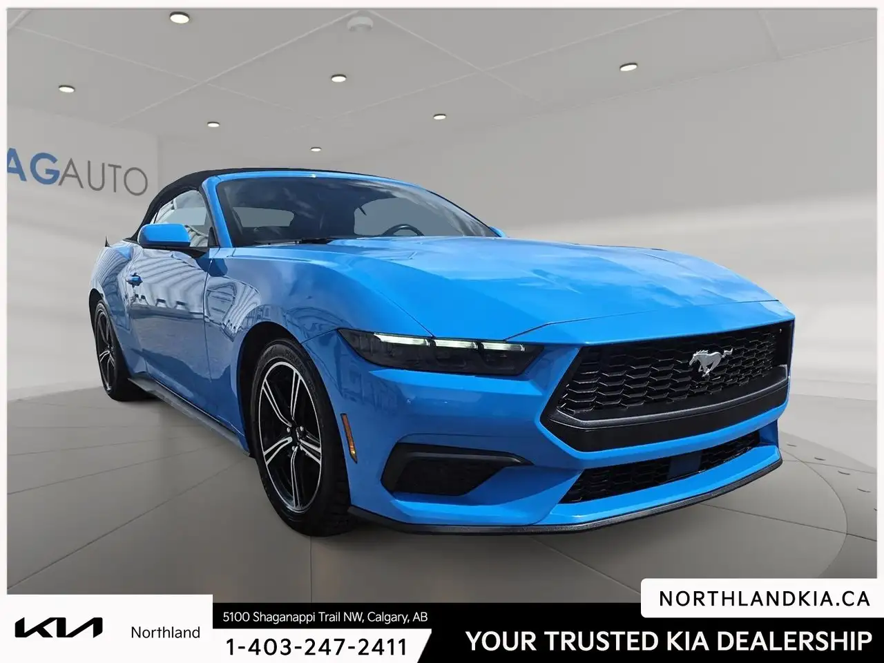 Ford Mustang - Image 5