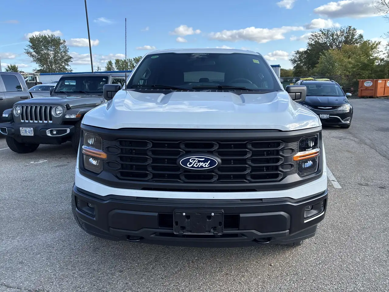 Ford F-150 - Image 2