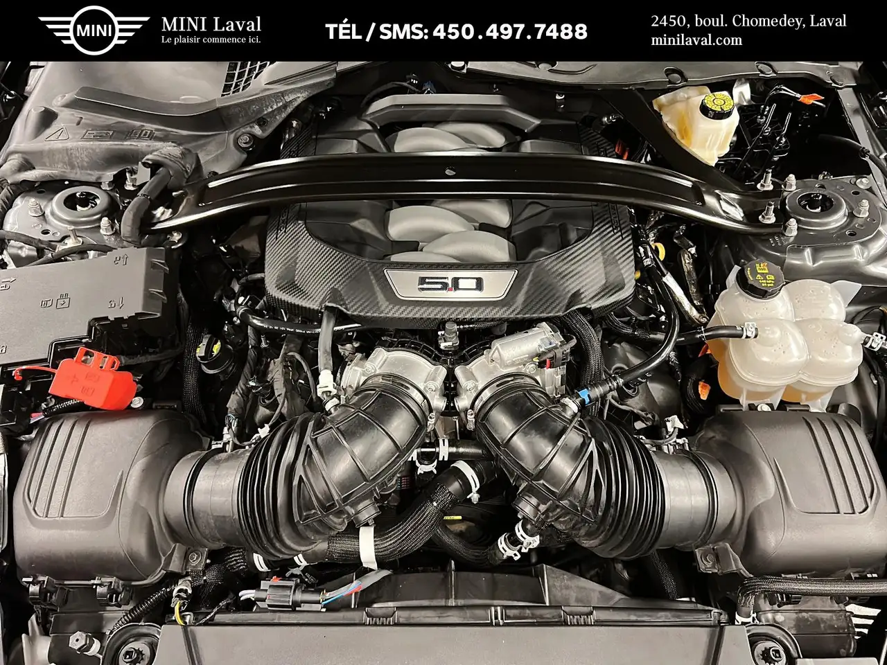 Ford Mustang - Image 11