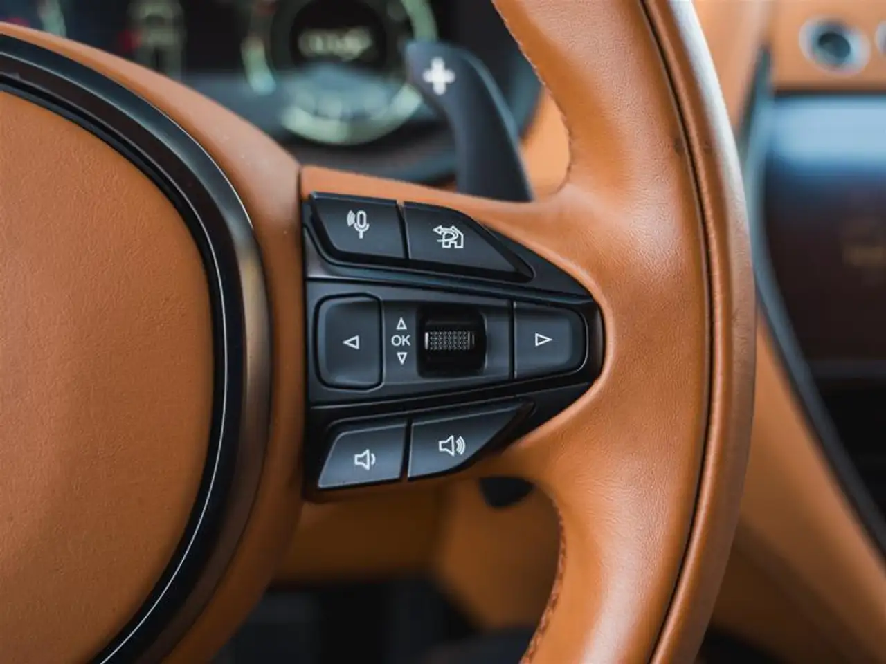 Aston Martin DBX - Image 21