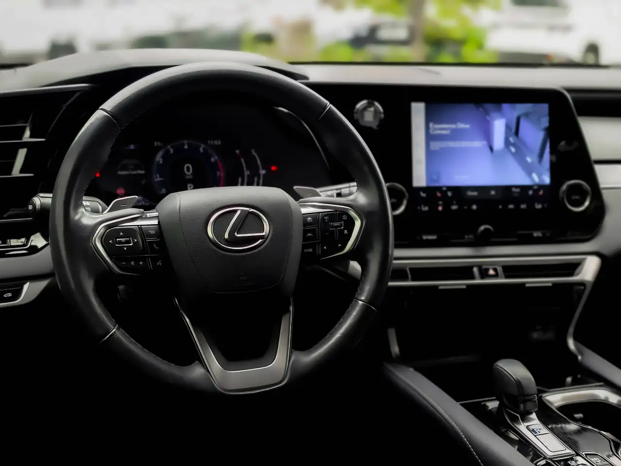 Lexus RX - Image 14