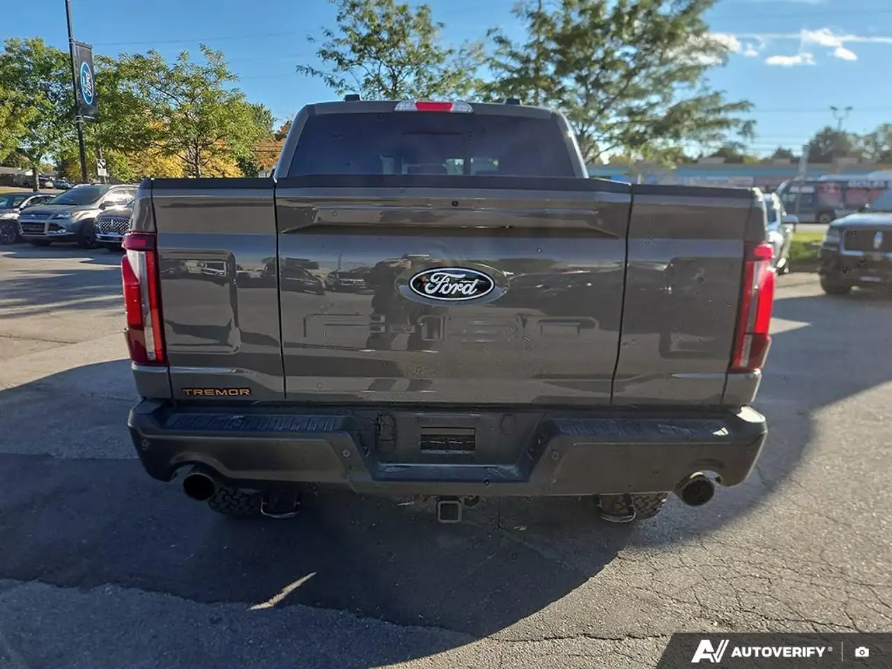 Ford F-150 - Image 6