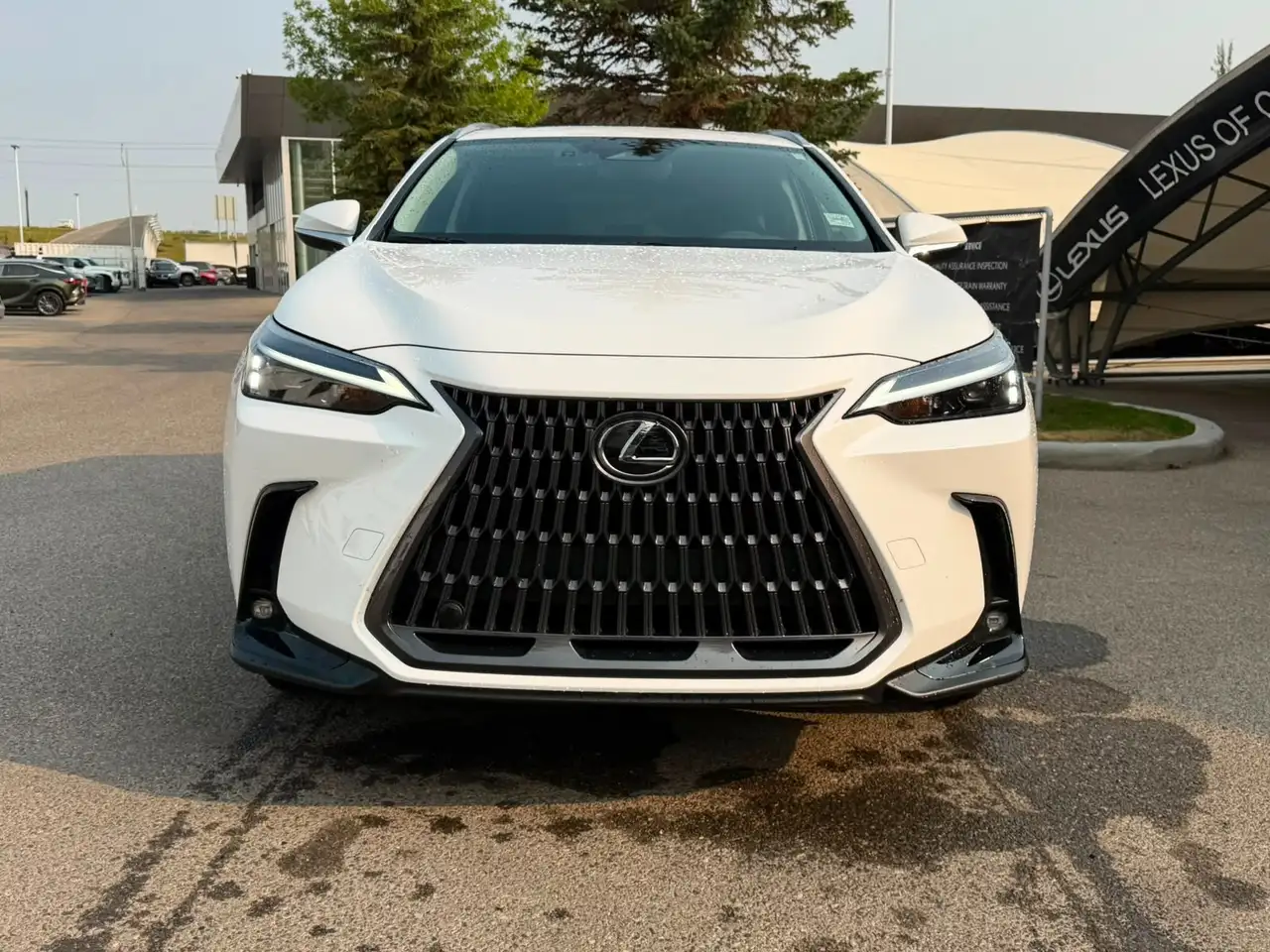 Lexus NX 350 - Image 4