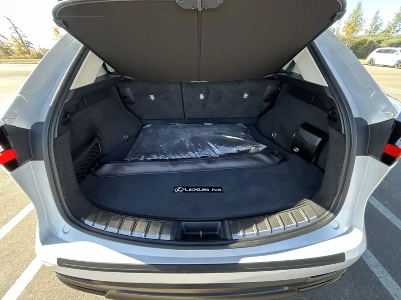 Lexus NX - Image 20