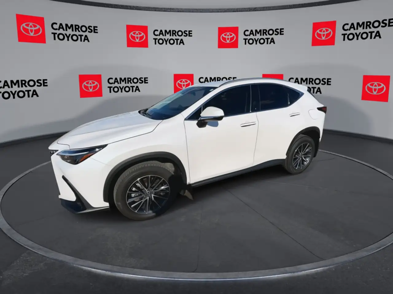 Lexus NX - Image 4