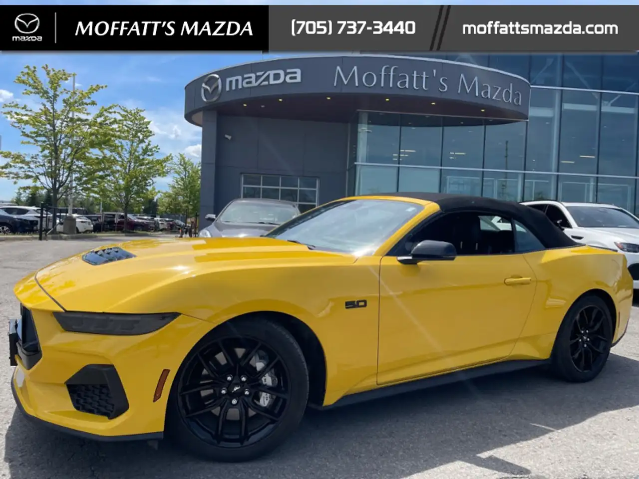 Ford Mustang - Image 2