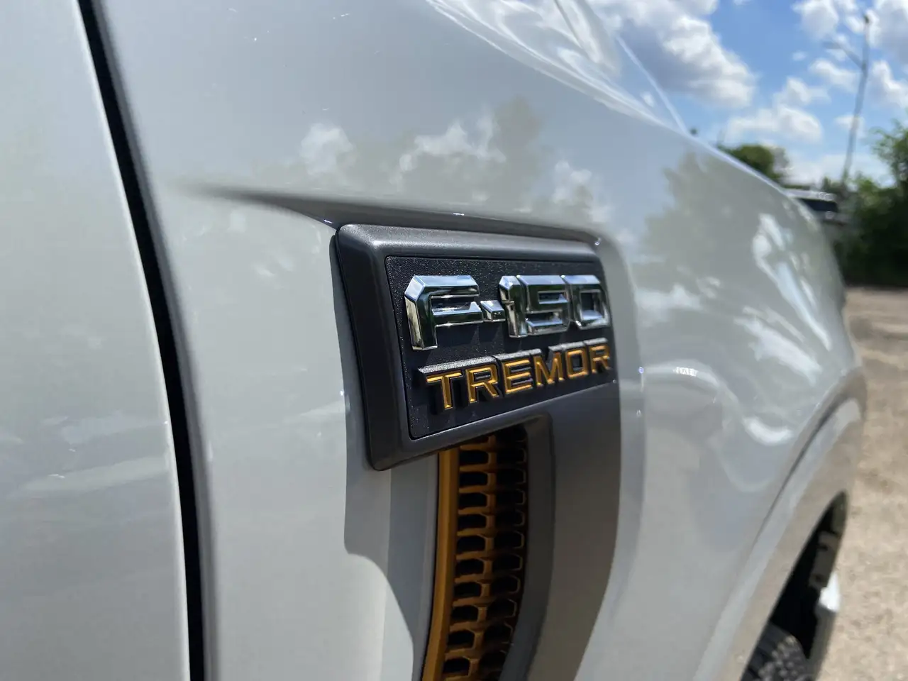 Ford F-150 - Image 20