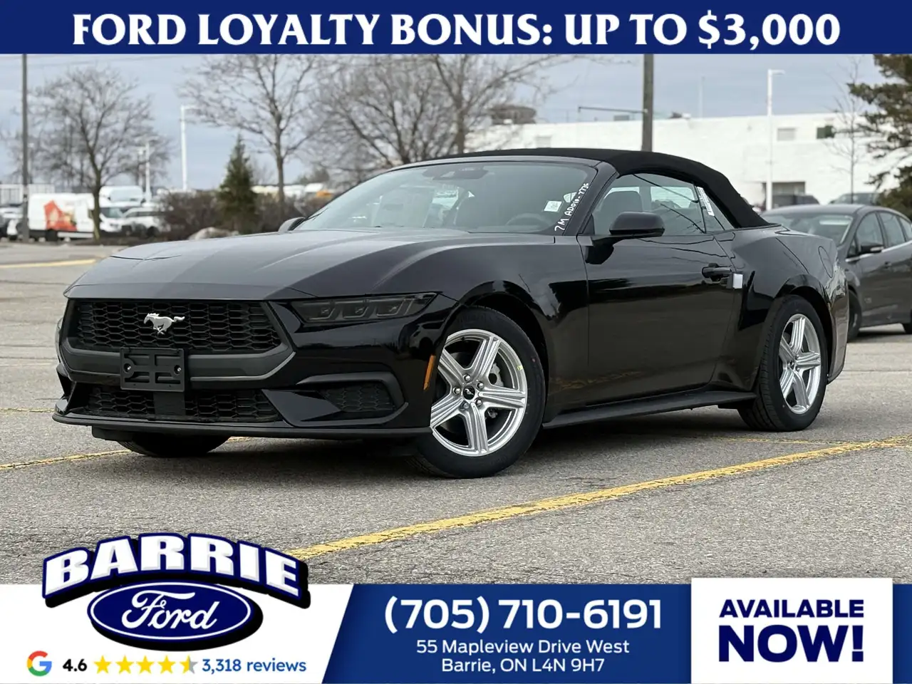 Ford Mustang - Image 1