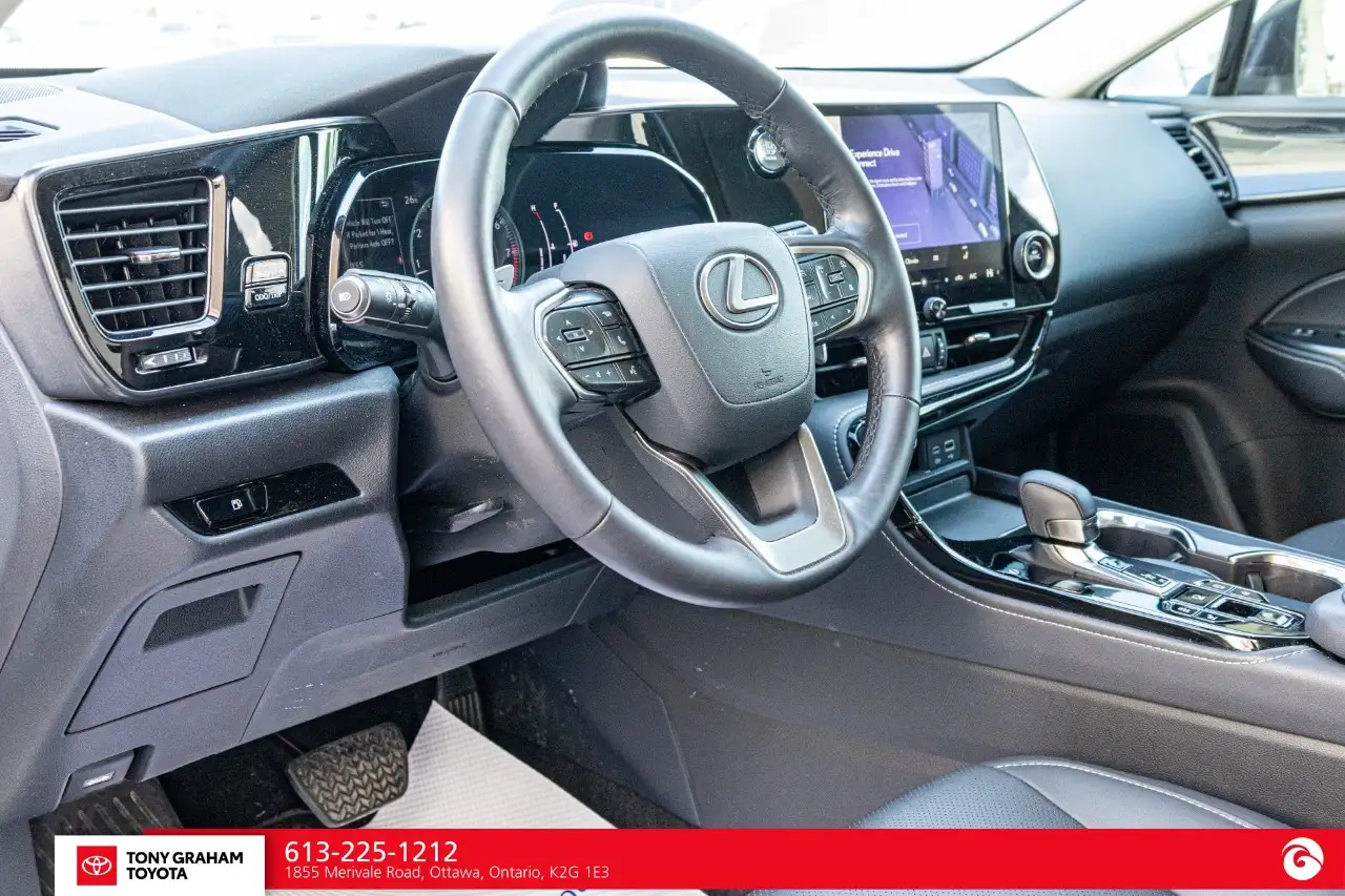 Lexus NX - Image 12