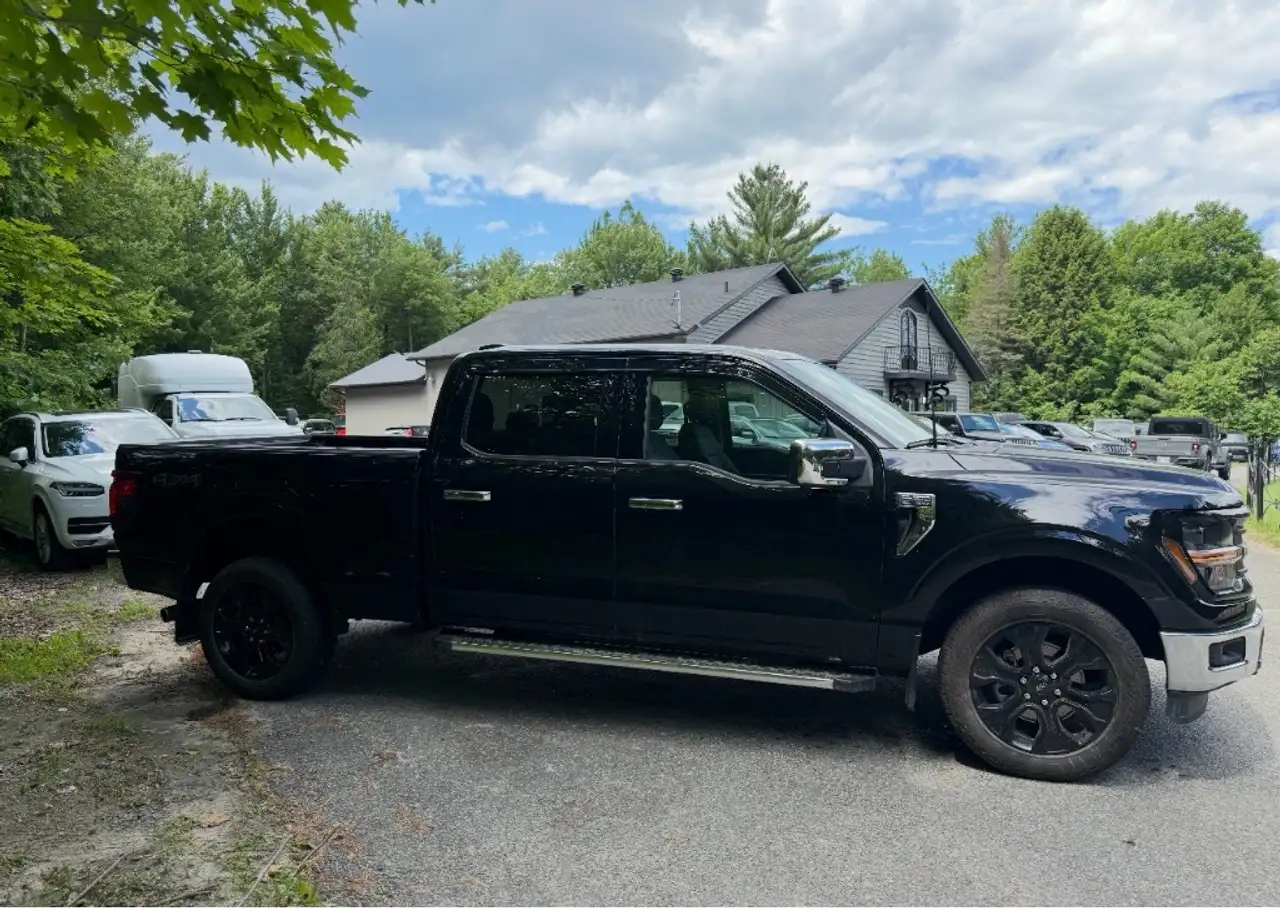 Ford F-150 - Image 4