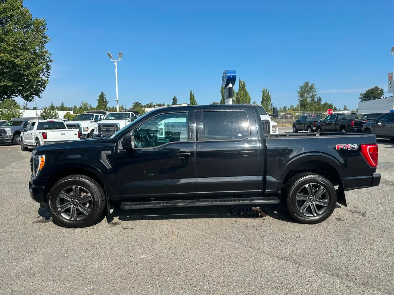 Ford F-150 - Image 12