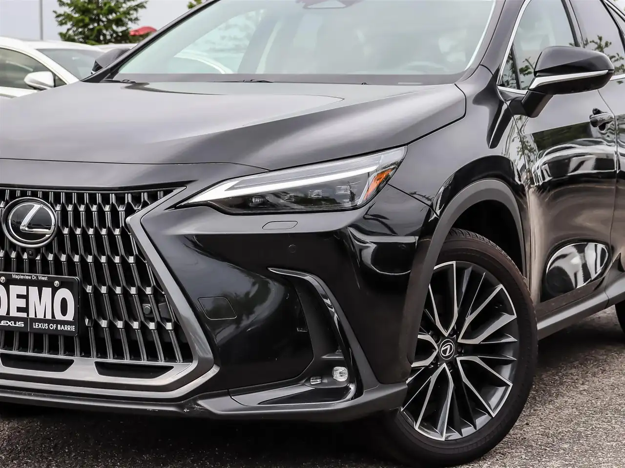 Lexus NX - Image 2