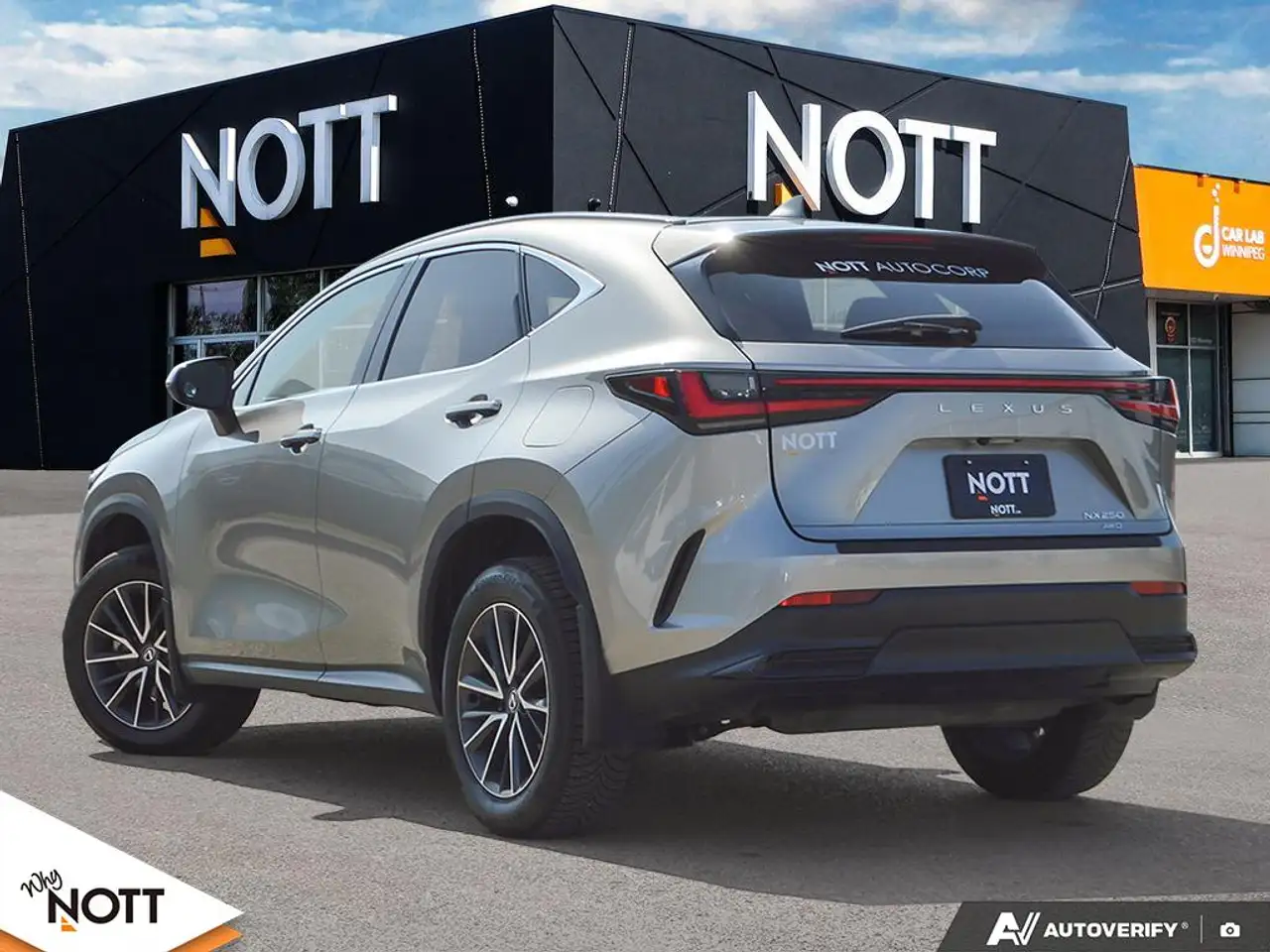 Lexus NX - Image 4