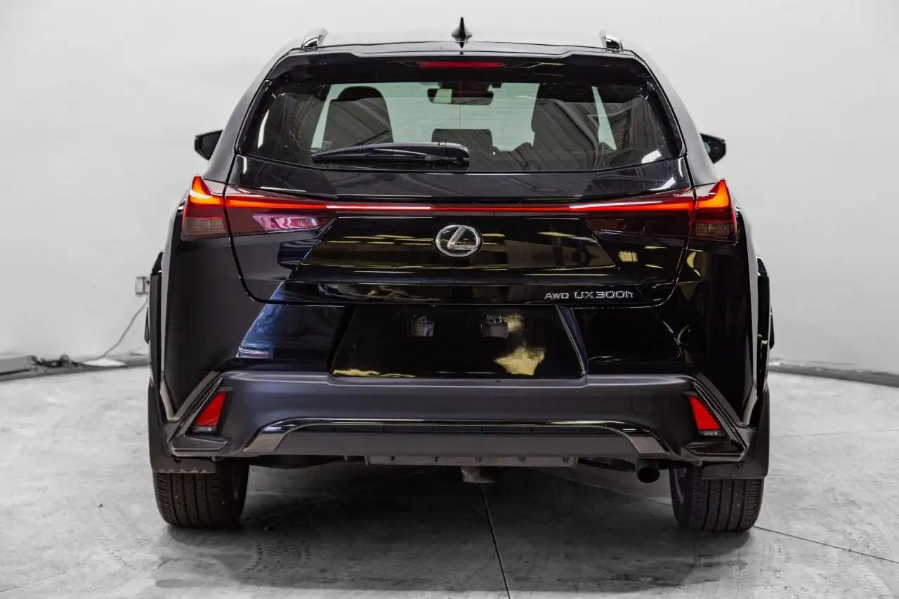 Lexus UX 300h - Image 6