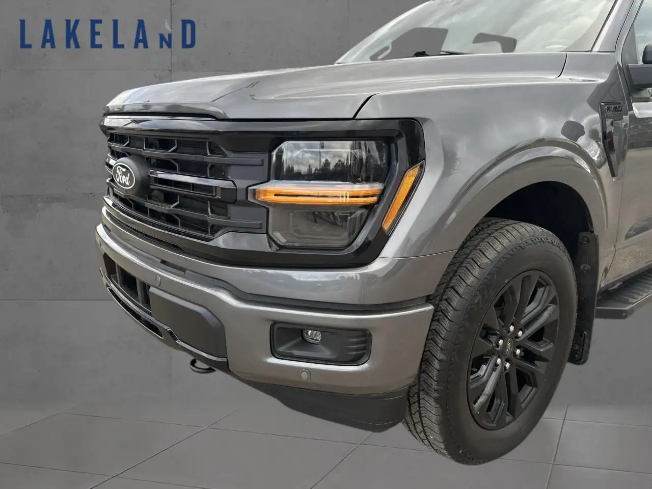 Ford F-150 - Image 9