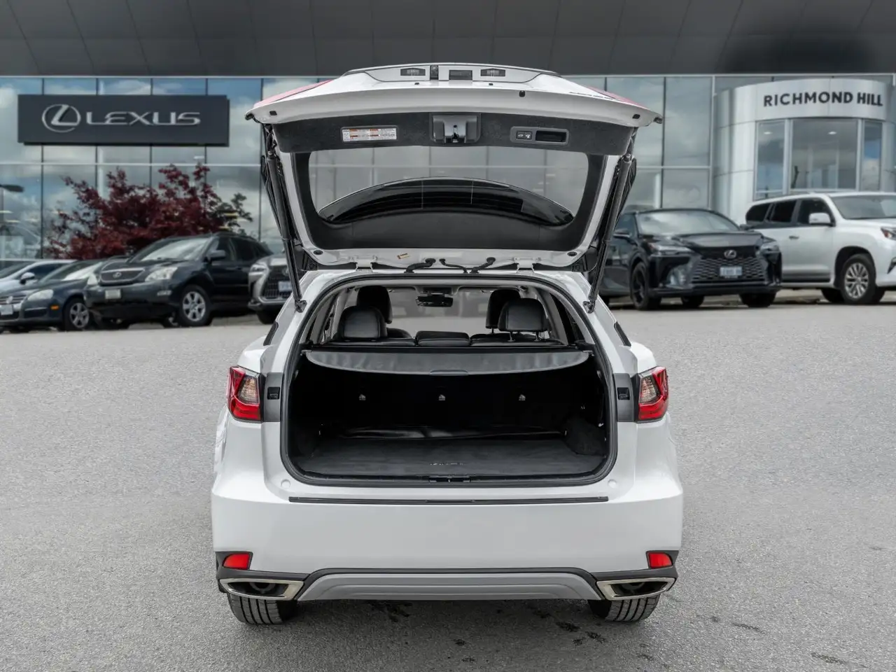 Lexus RX - Image 8
