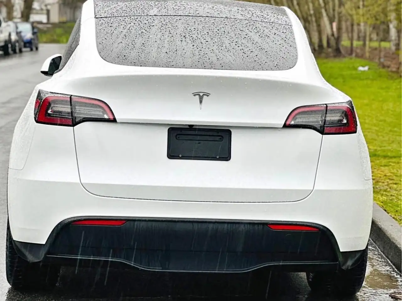 Tesla Model Y - Image 1
