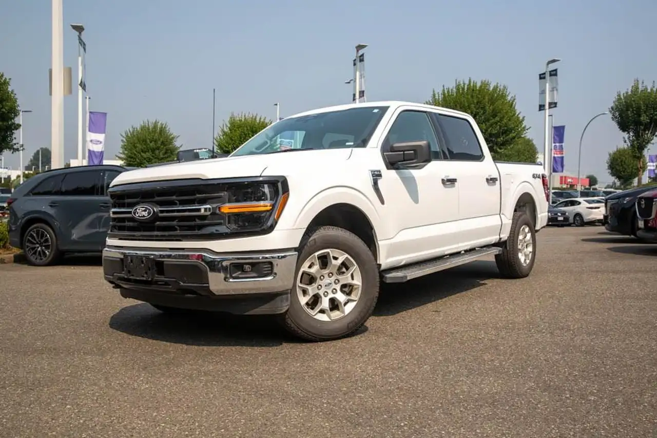 Ford F-150 - Image 3