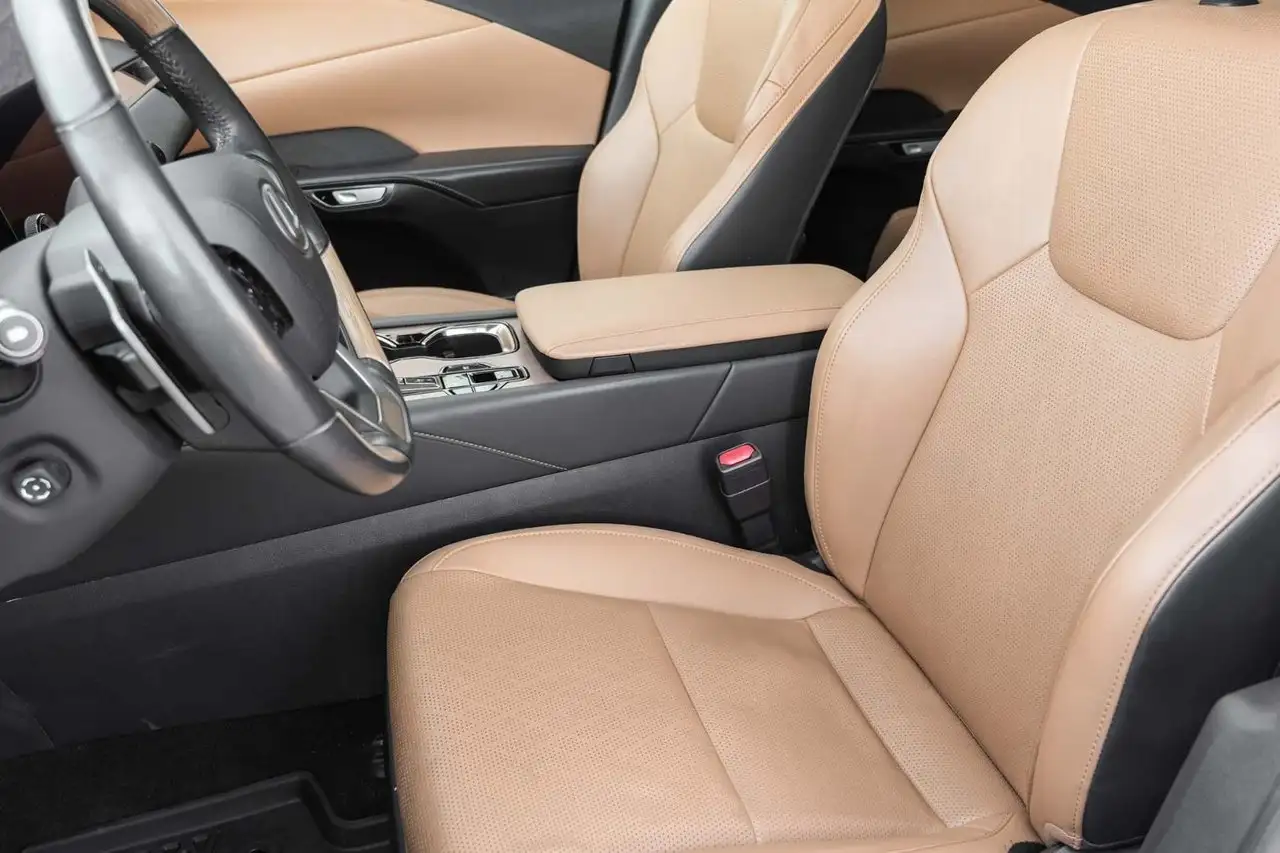 Lexus RX 350h - Image 20