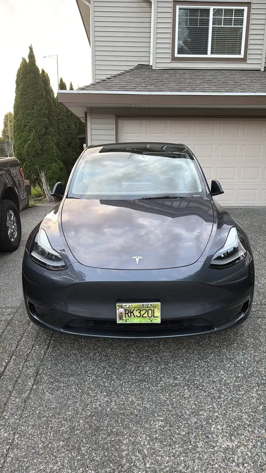 Tesla Model Y - Image 1