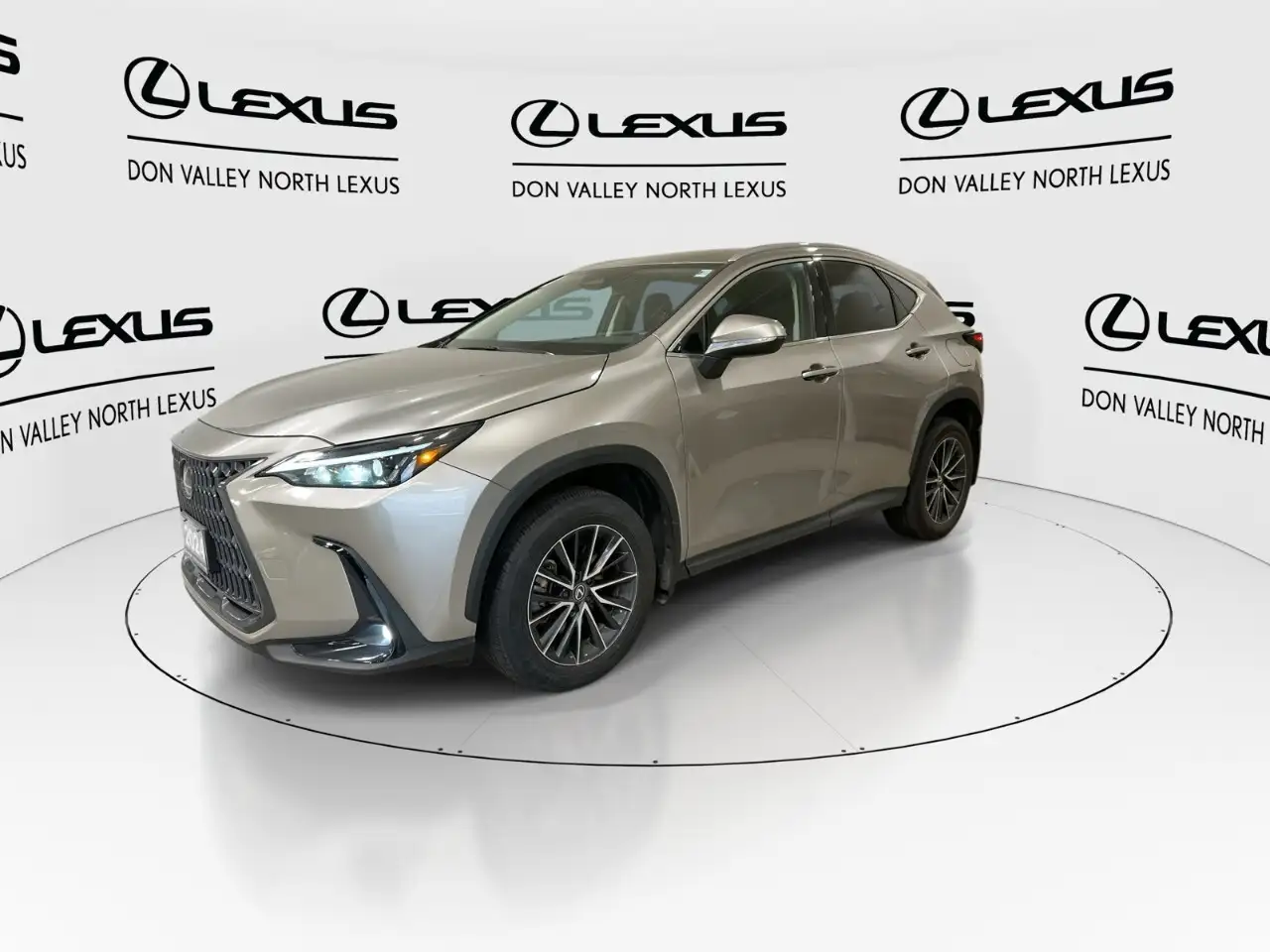 Lexus NX - Image 4