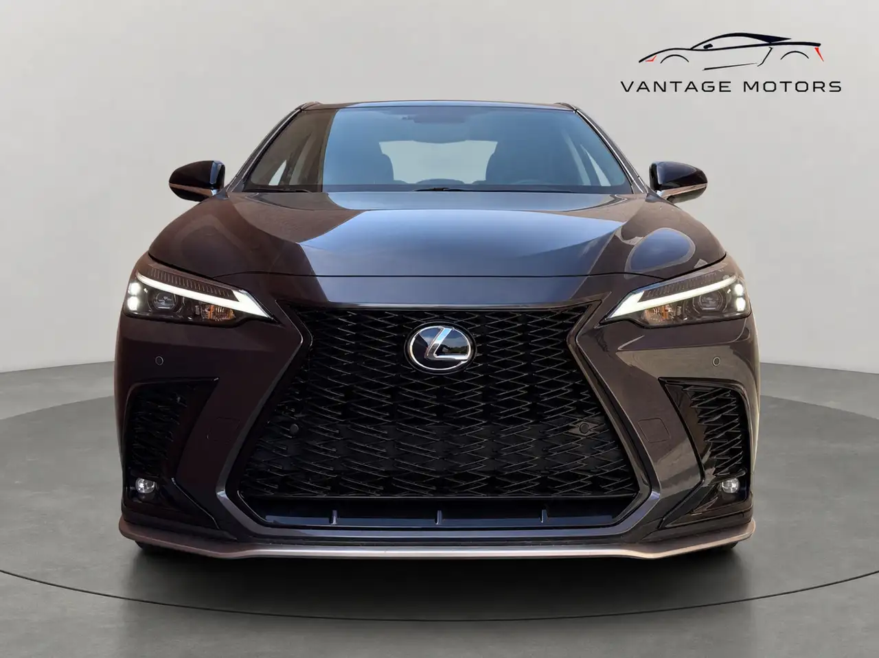 Lexus NX - Image 6