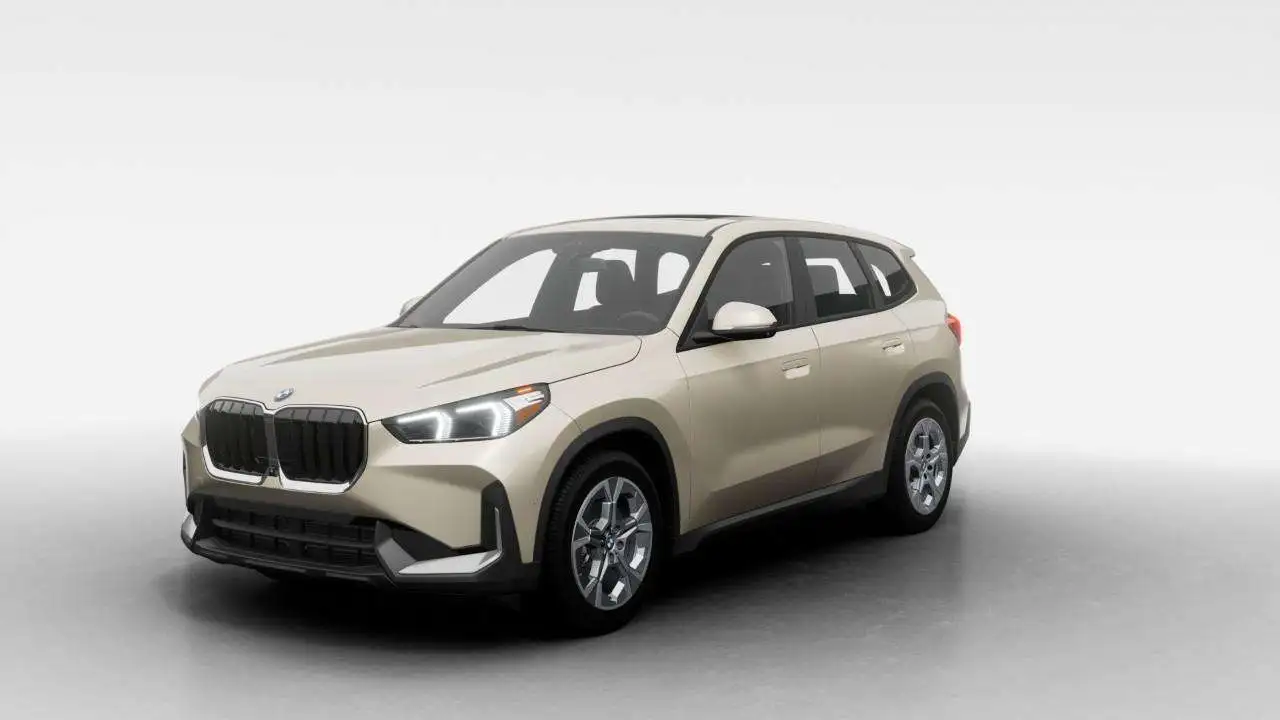 BMW X1 - Image 1